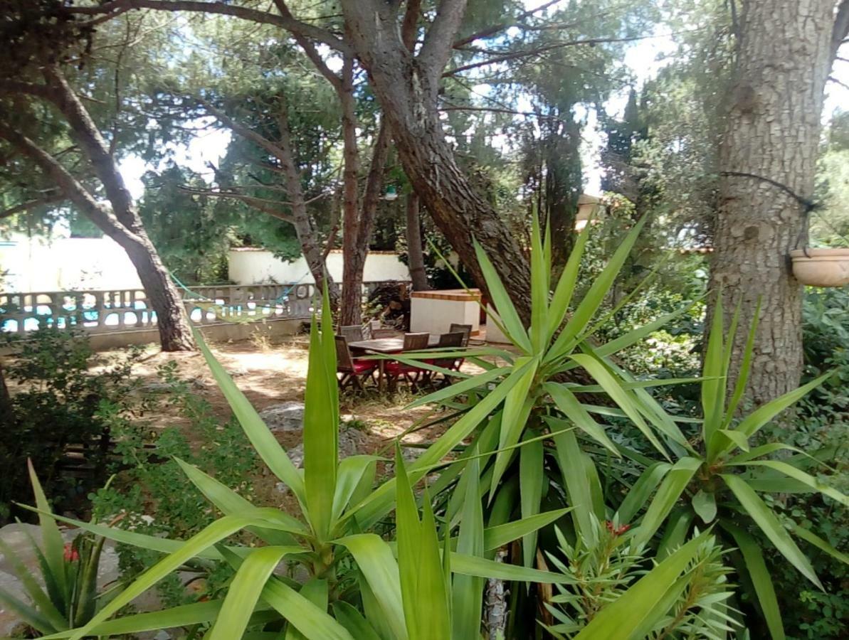 Le Paradis De Valerie Σετ Εξωτερικό φωτογραφία