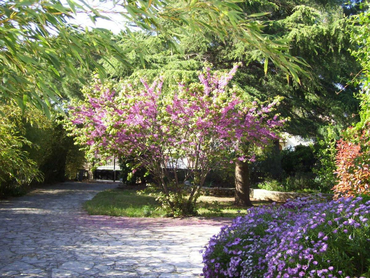 Le Paradis De Valerie Σετ Εξωτερικό φωτογραφία